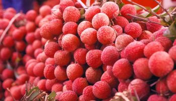 Thủ tục xuất khẩu hoa quả, trái cây