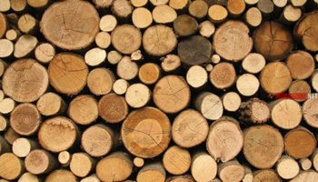 Điều kiện và quy trình xuất khẩu gỗ và các sản phẩm từ gỗ