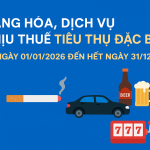 Hàng hóa, dịch vụ chịu thuế Tiêu thụ đặc biệt (TTĐB) từ ngày 01/01/2026 đến hết ngày 31/12/2026