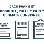 Cách phân biệt CONSIGNEE, NOTIFY PARTY và ULTIMATE CONSIGNEE trong tờ khai hải quan