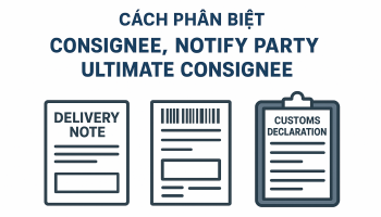 Cách phân biệt CONSIGNEE, NOTIFY PARTY và ULTIMATE CONSIGNEE trong tờ khai hải quan